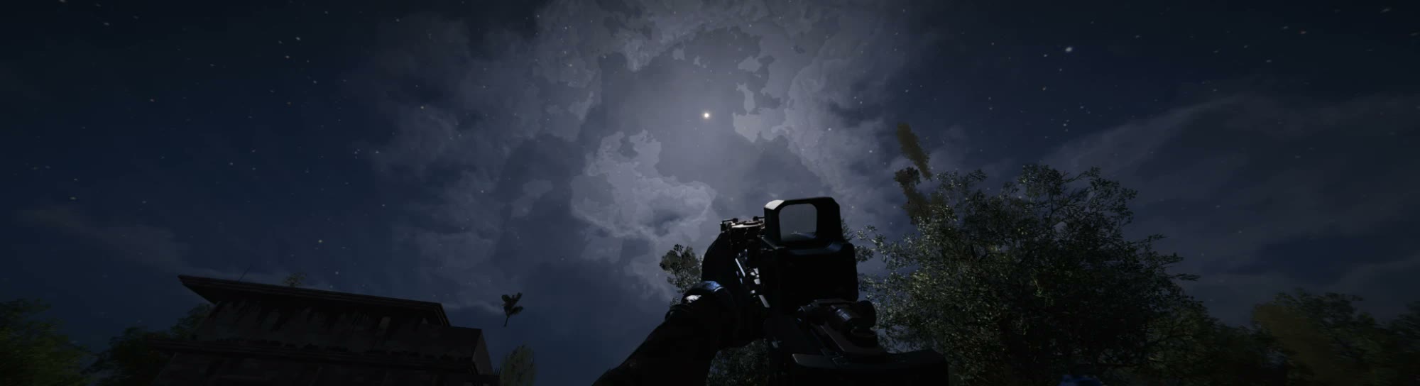 A night sky over the trees, seen down a rifle